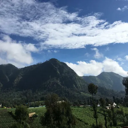 Bromo Deddy Homestay Exterior photo