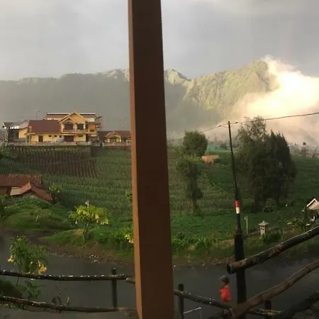 Bromo Deddy Homestay Exterior photo